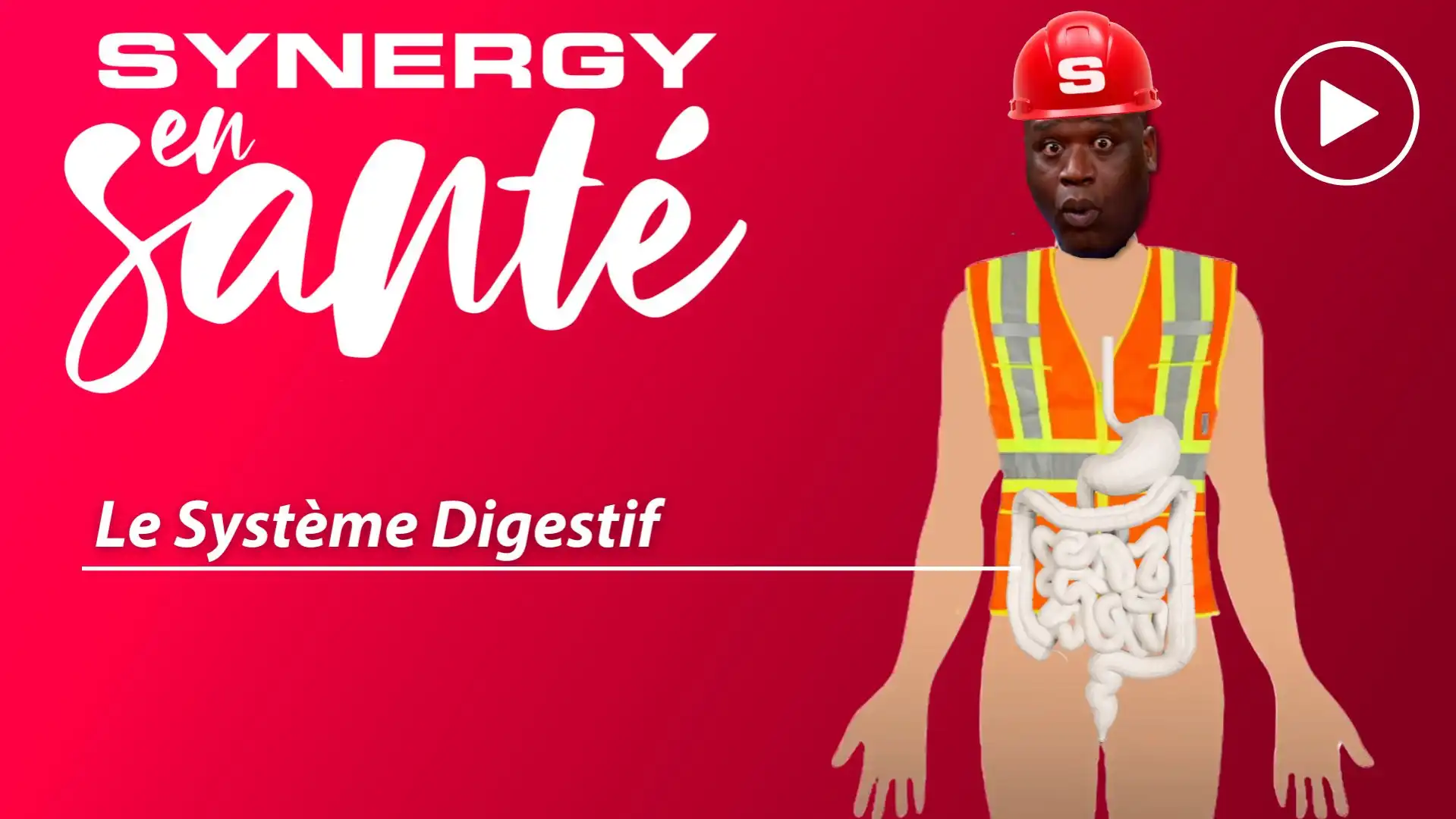 Synergy en santé - Le système digestif 